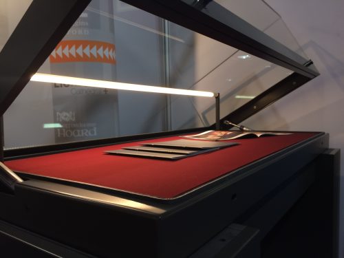 A nice museum showcase, anti-bandit, anti-UV, anti-pest, anti-humidity... get the idea?